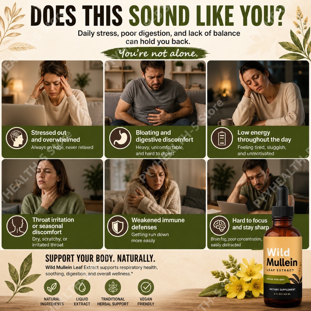 Wild-Mullein-Blätter-Tropfen m – Herbal Wellness Drops Bewertung und Preis