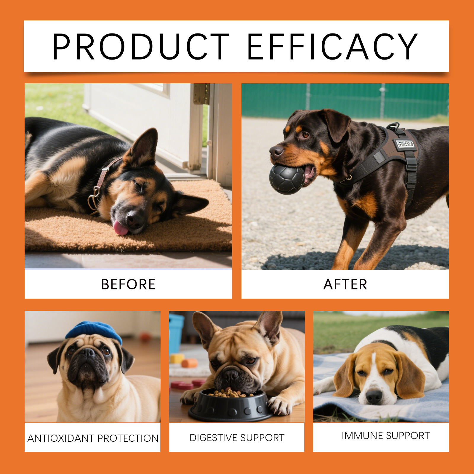 Kräutertropfen für Hunde - Unw – Herbal Wellness Drops Bewertung und Preis